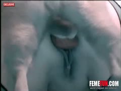 Your dog is being recorded by a golden-haired person with a large booty.